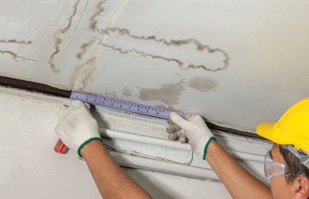 24/7 Emergency Structural Drying experts in North Street, MI