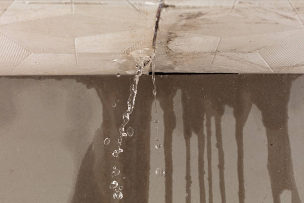 Professional Structural Drying technician working in North Street, MI